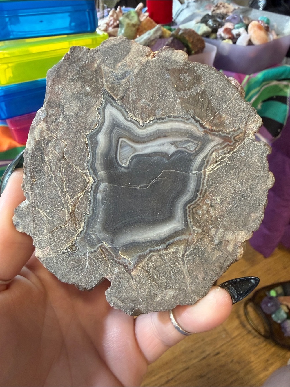 Natural Agate Geode Slice - Gray Accent Home Décor
